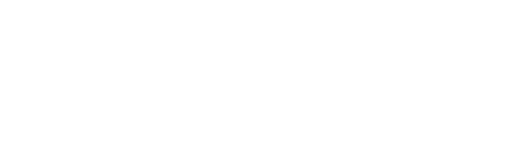Fortis Protection Services